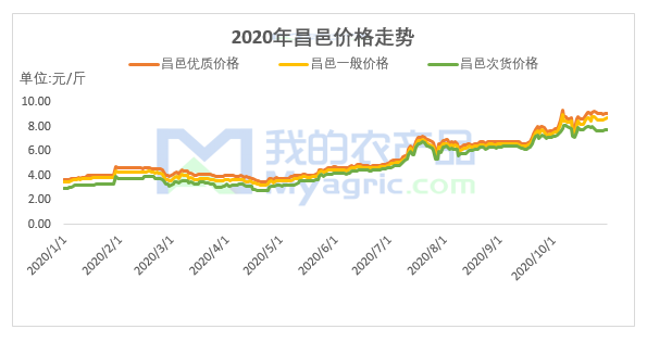 2020年昌邑生姜价格为何连续上涨